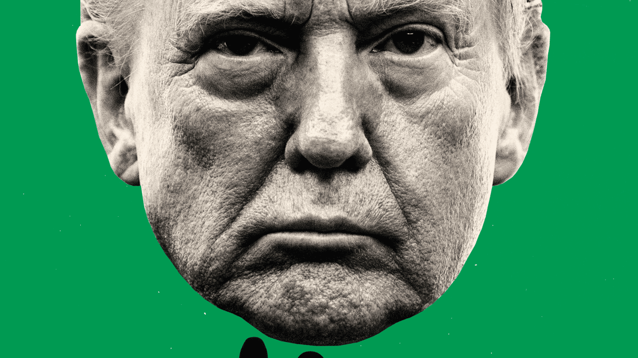 Picture of the author