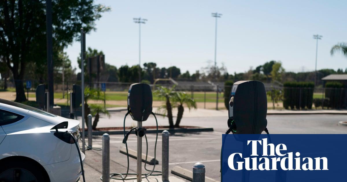 ‘It’s currently unclear if the new interest in EVs will endure and how it will translate into market share.’