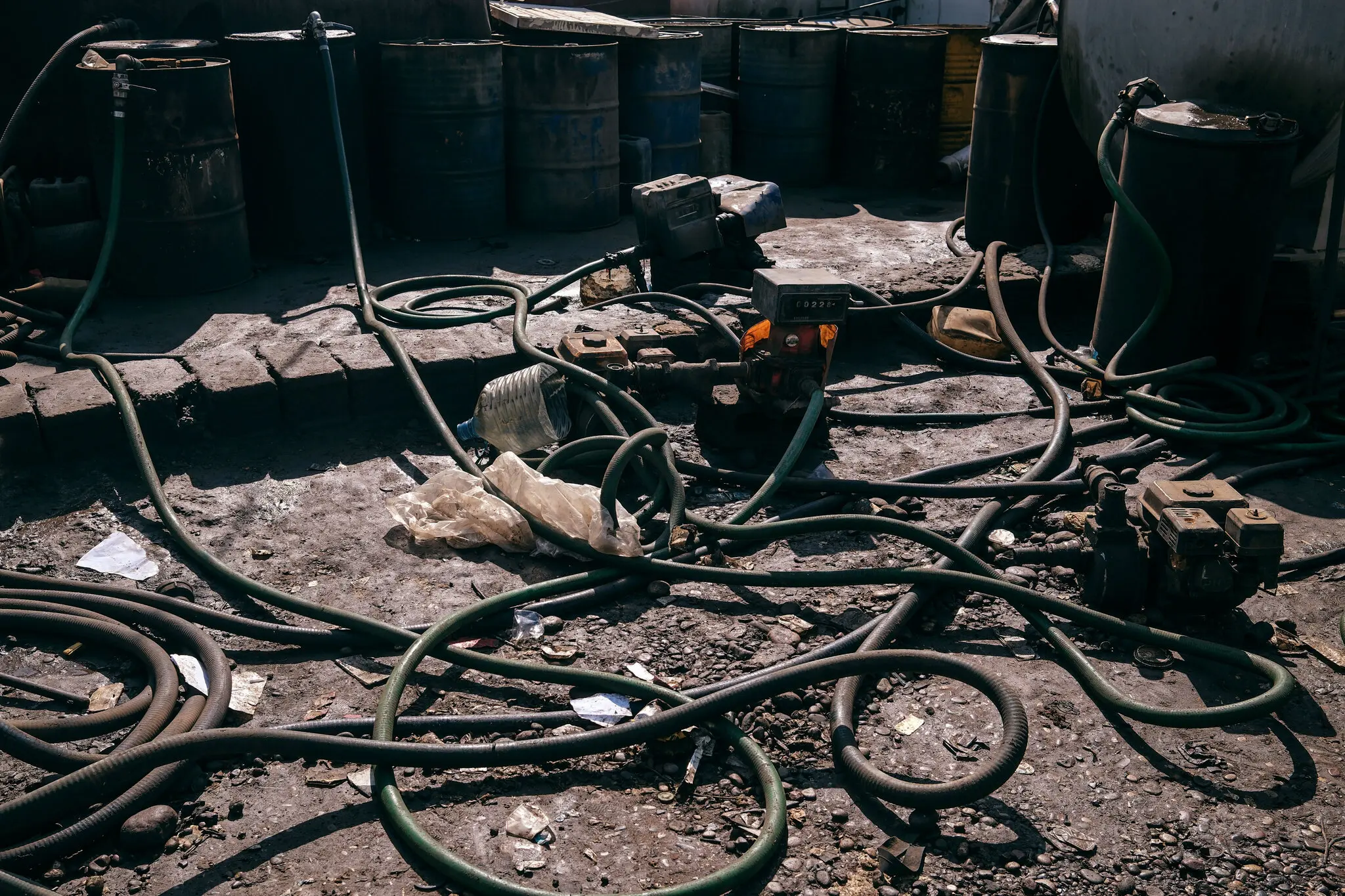 Picture of the author