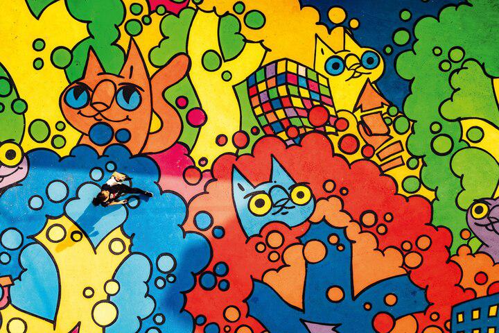 Picture of the author