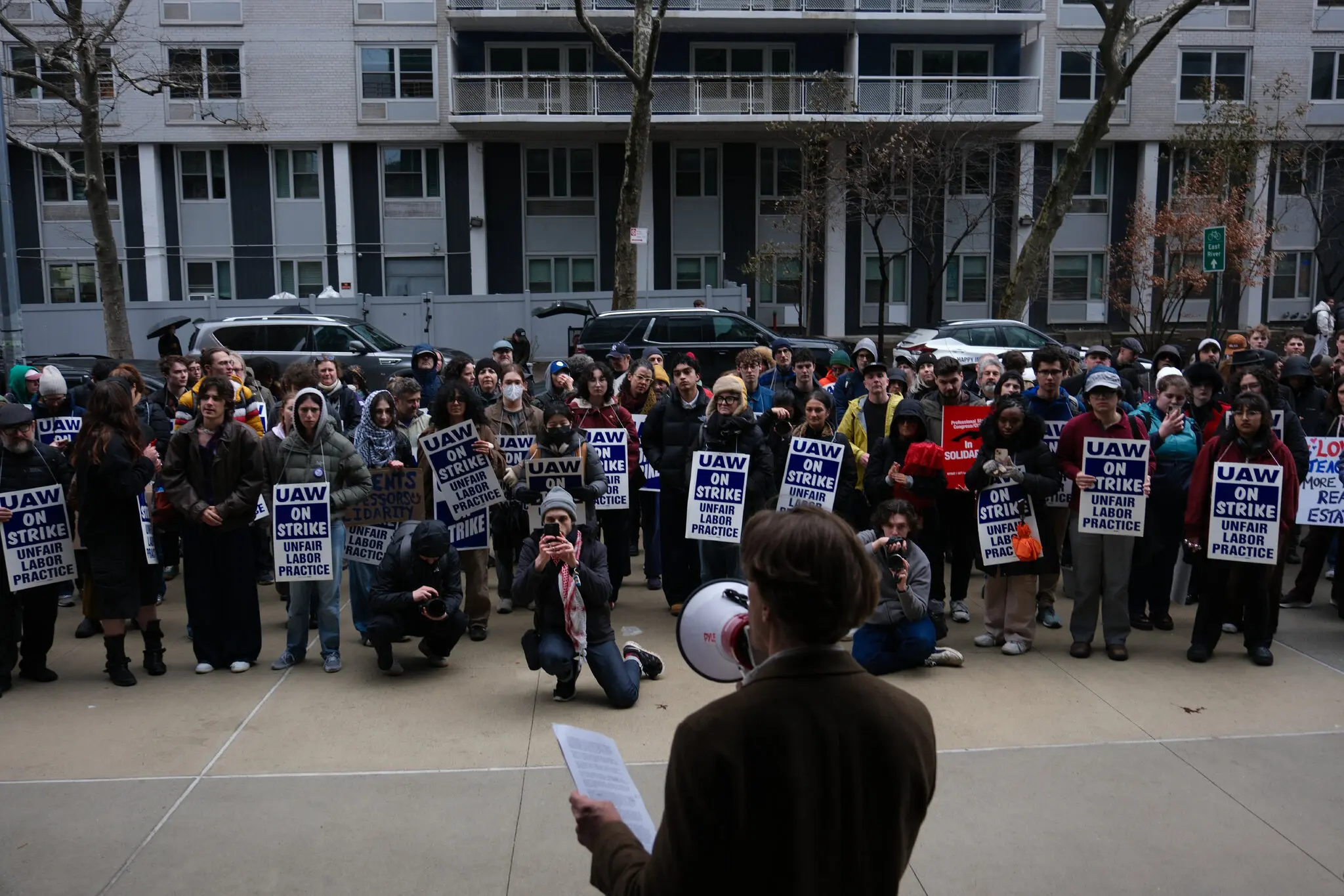 Picture of the author