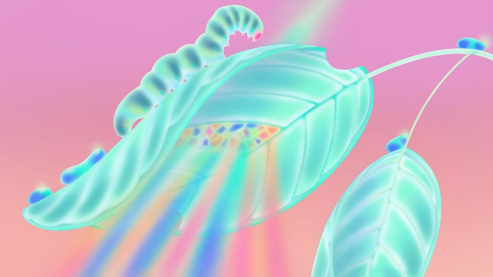 Picture of the author