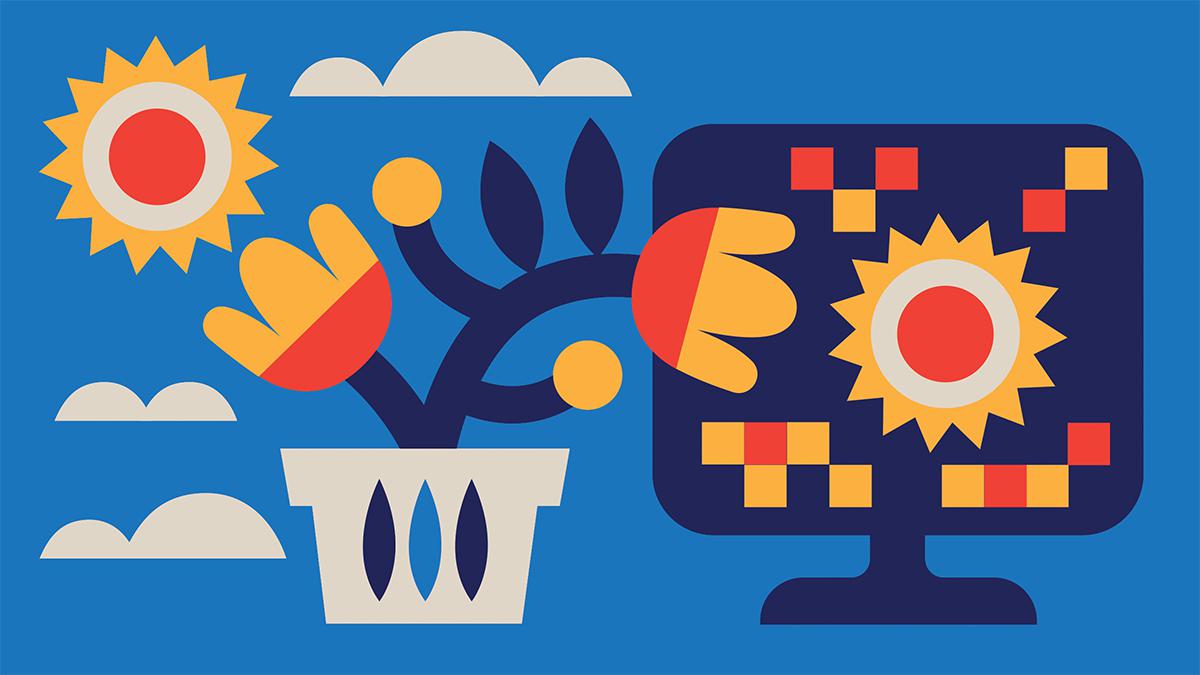 Picture of the author