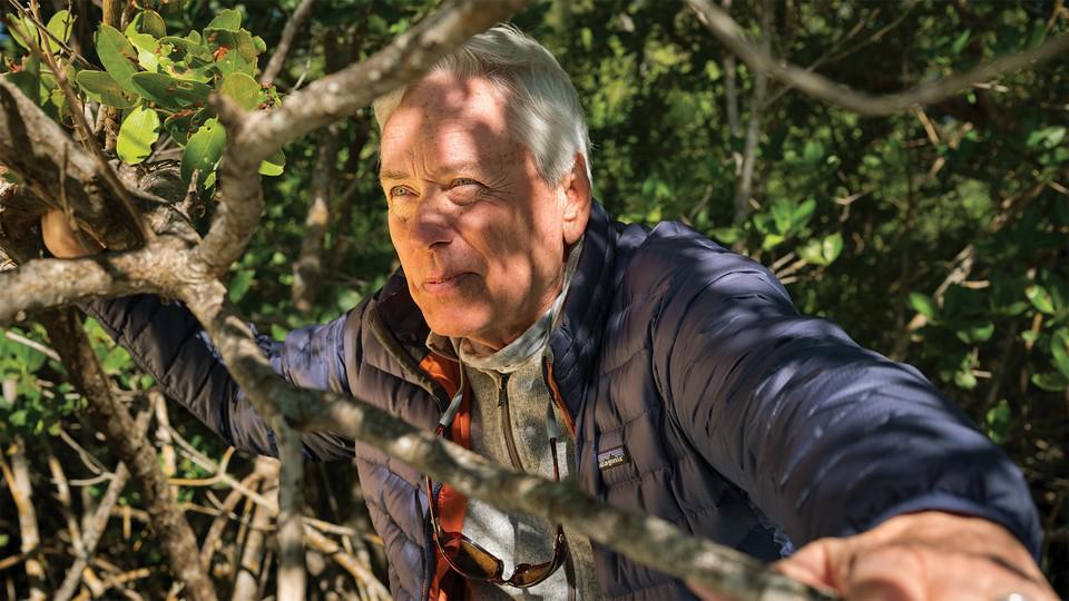 We’re All Living in a Carl Hiaasen Novel