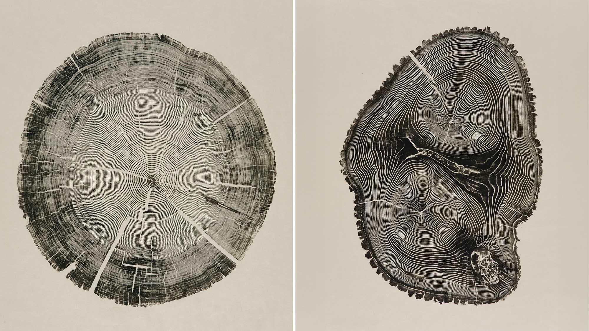 Design Products That Won’t Become Obsolete