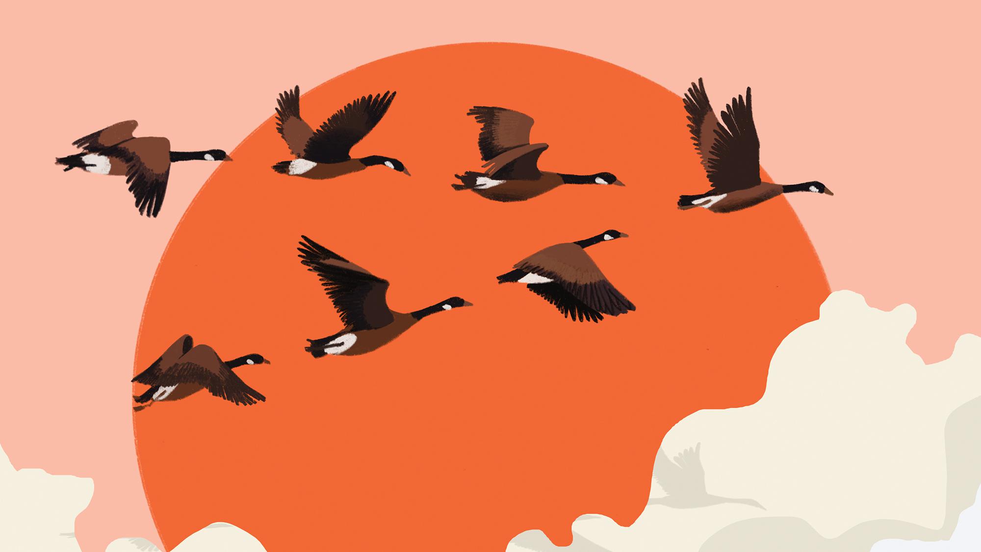 Should Your Next CEO Come from Your Board?