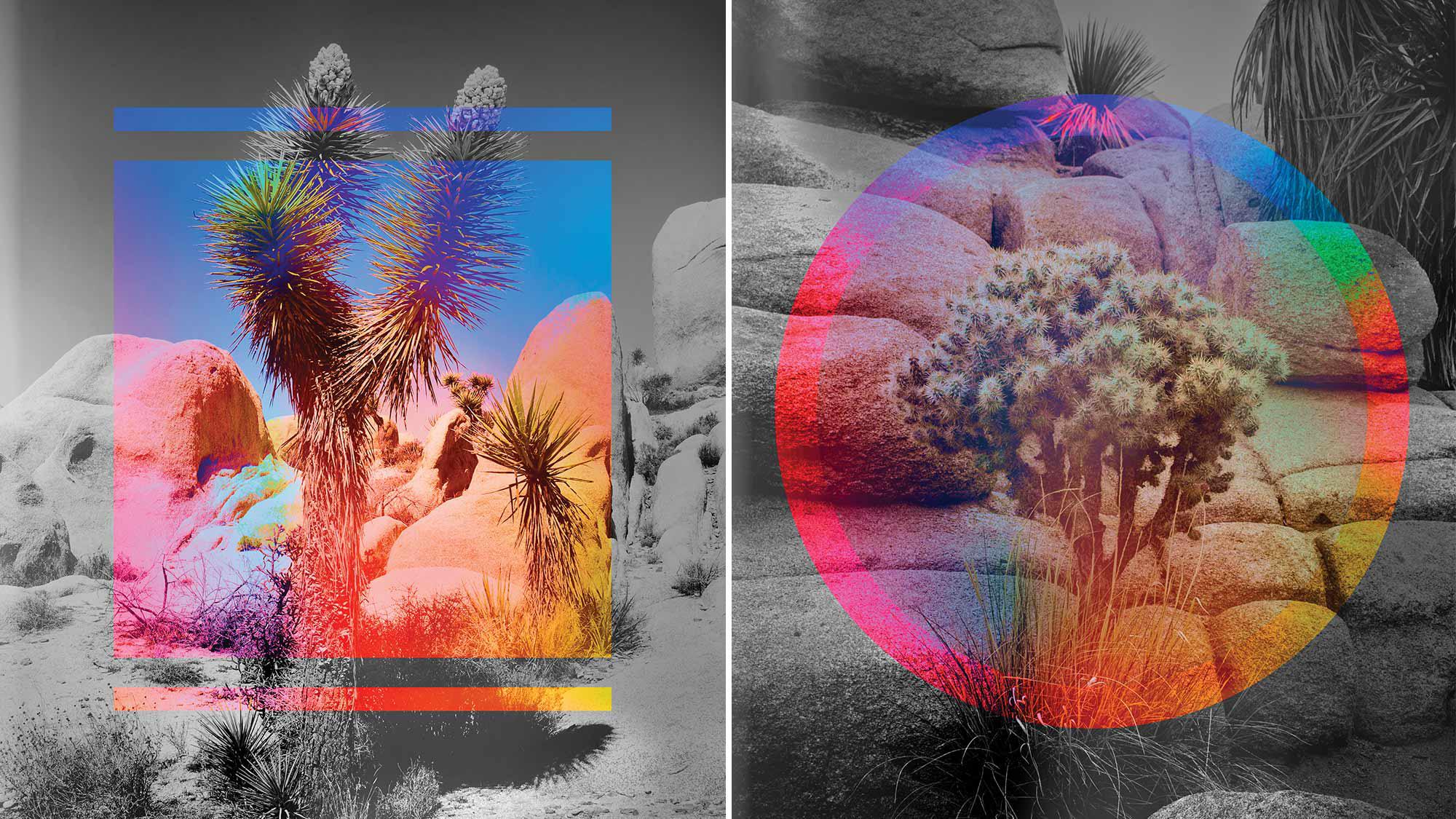 The Gen AI Playbook for Organizations