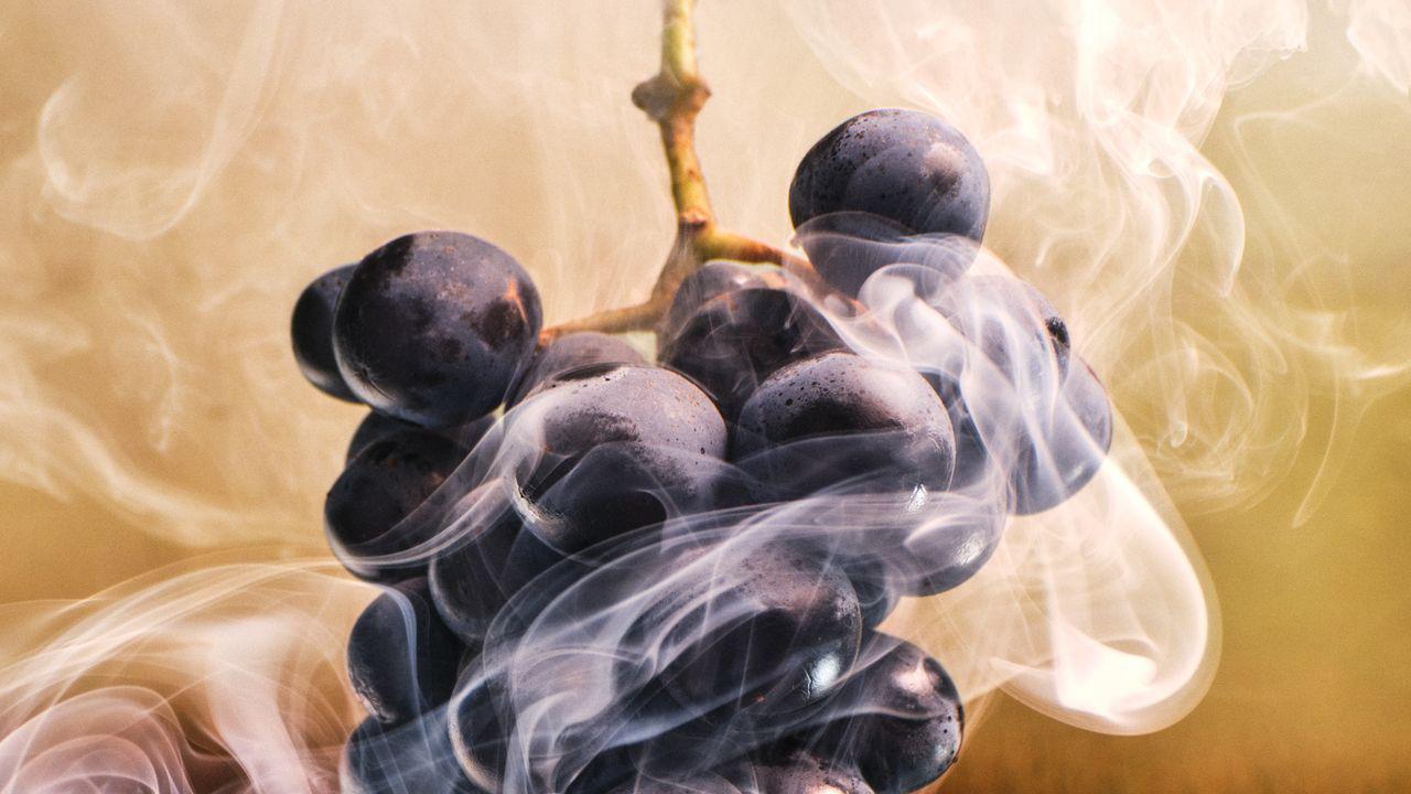 Can We Save Wine from Wildfires?