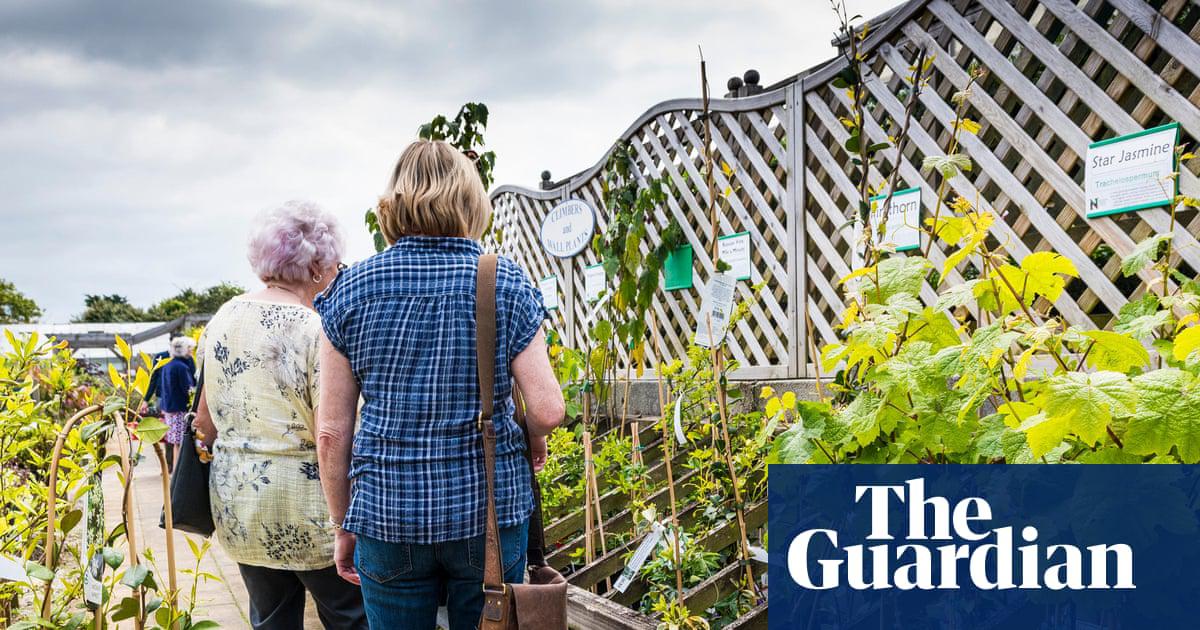 Of more than 133,000 cultivated plants assessed by Plant Heritage, more than half are no longer reliably offered for sale in the UK.