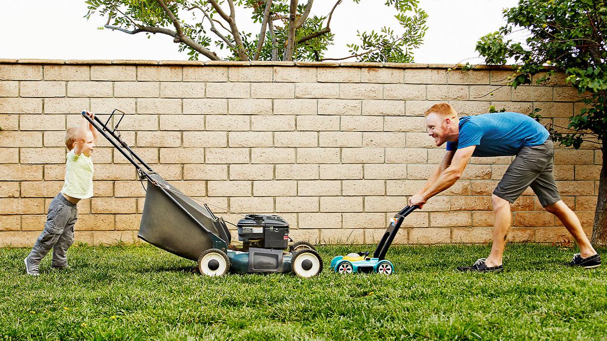 Picture of the author