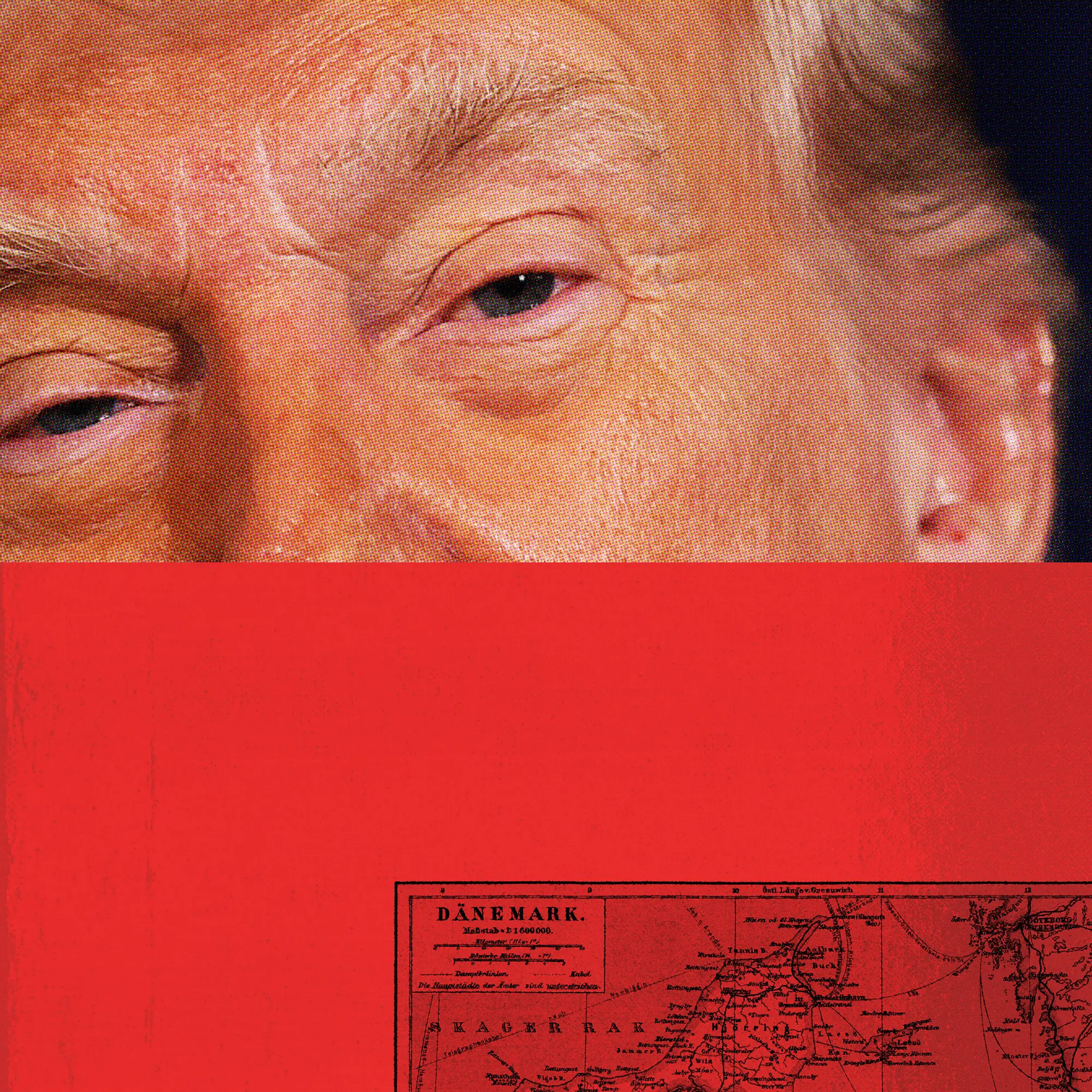 Picture of the author