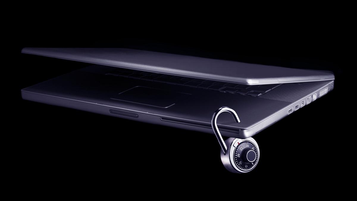 Picture of the author