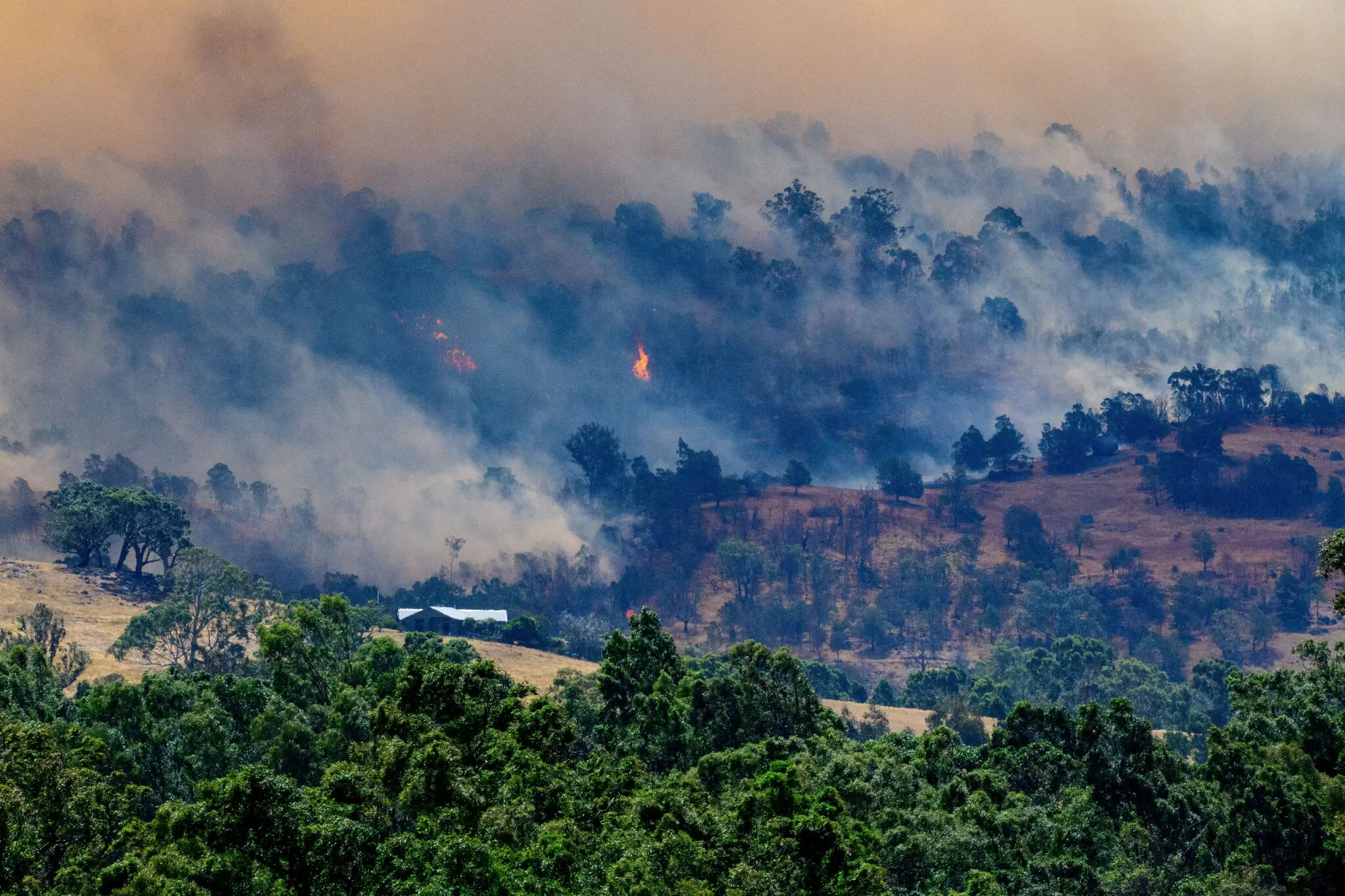 Smoke rising from a burning forest near Longwood, Australia, on Friday.