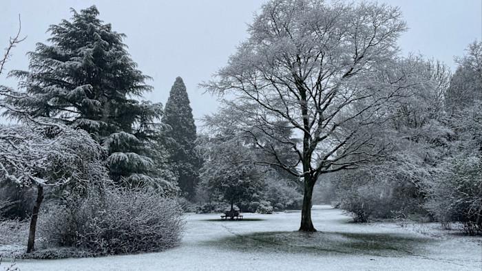 Bewitched by the romance of a Belgian garden