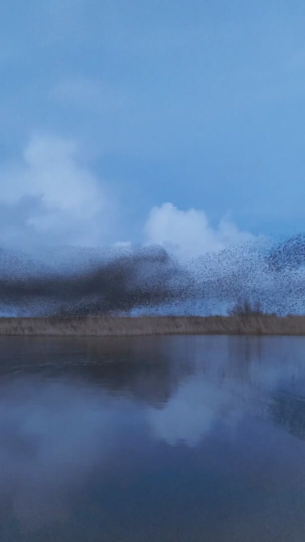 What Are We Thinking?