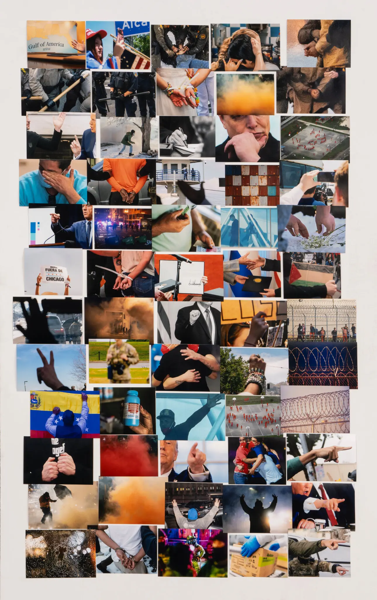 One Year of Trump. The Time to Act Is Now, While We Still Can.