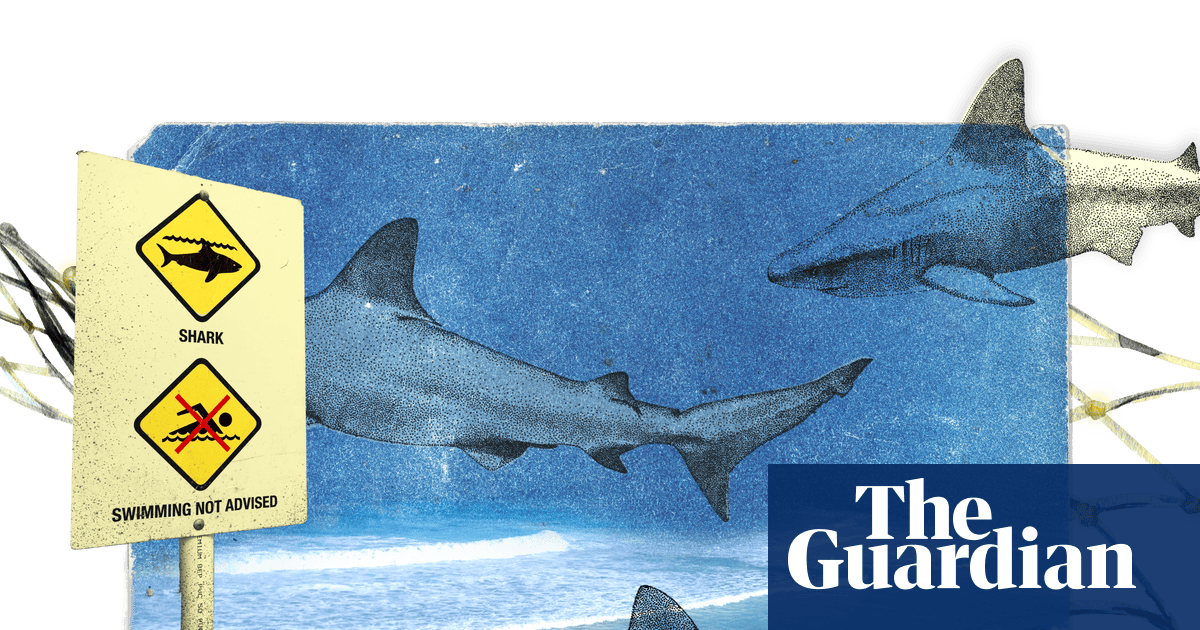 What’s behind the run of shark attacks in New South Wales and how can people lower their risk of being bitten?
