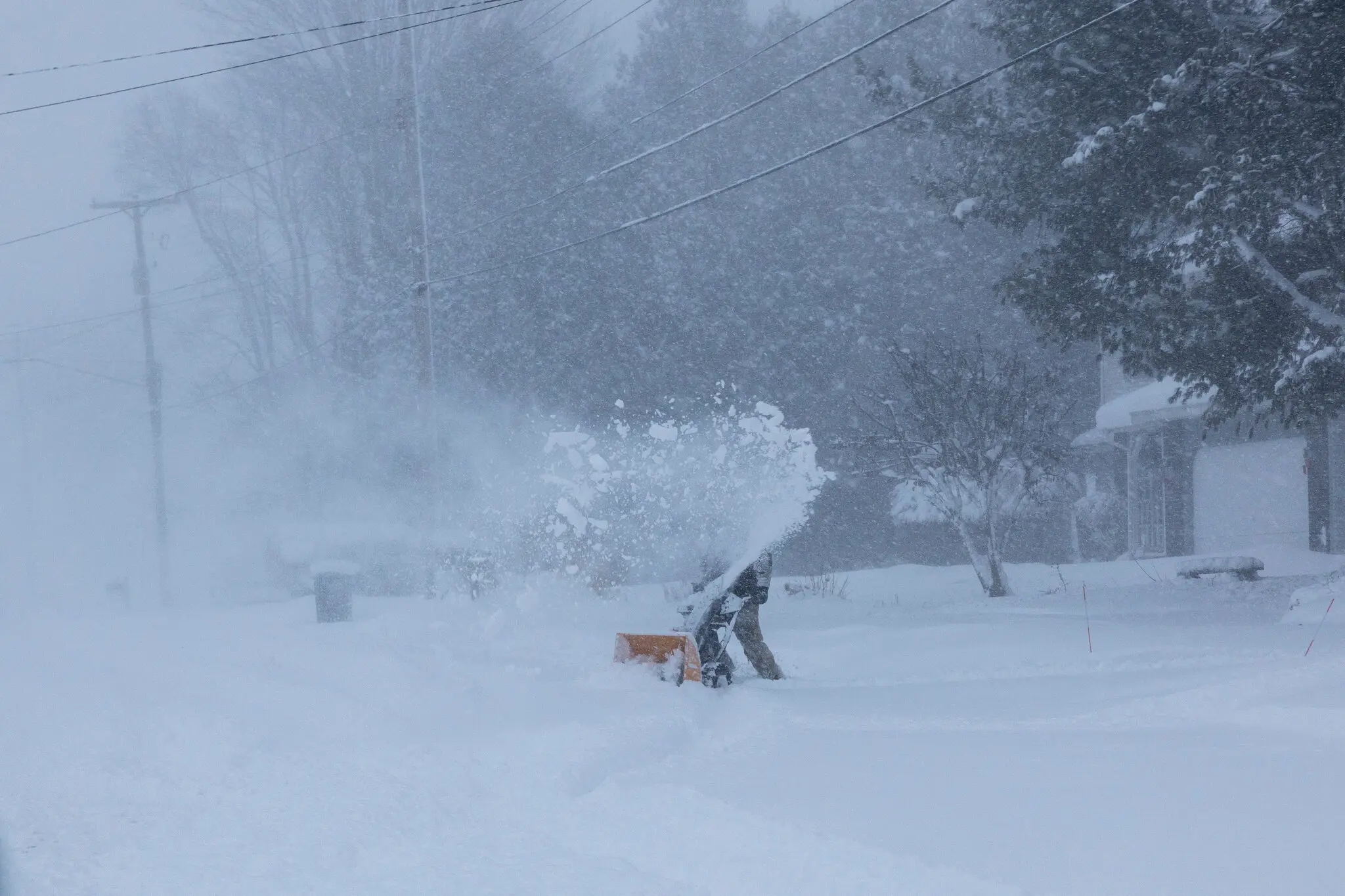 Heavy snow and freezing raining can weigh down tree branches and power lines, causing equipment failures that can often cripple power systems.