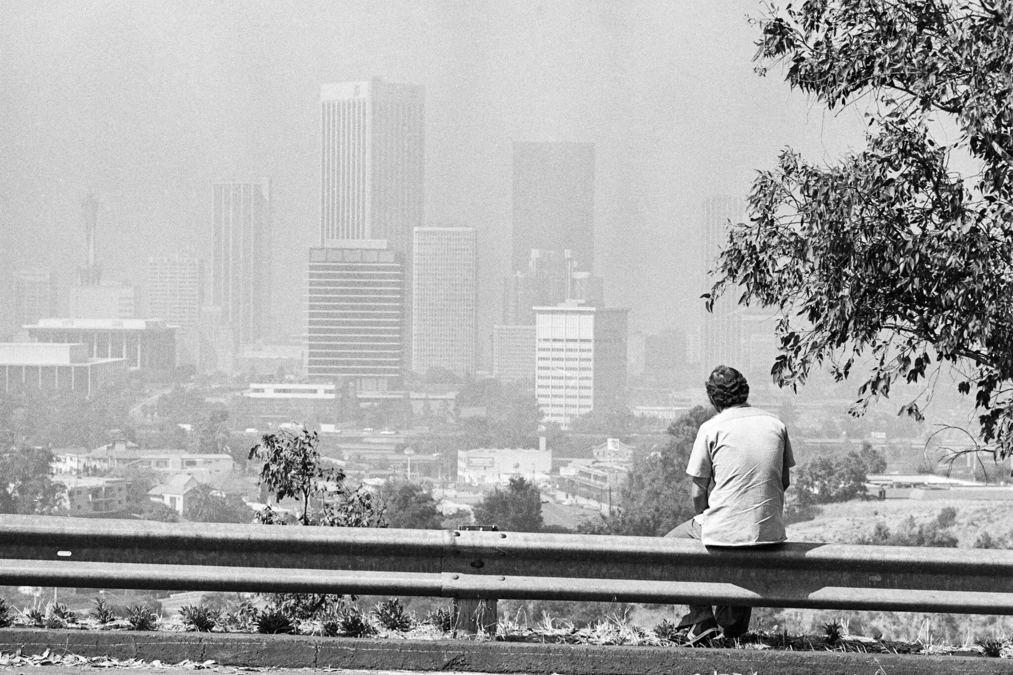 Los Angeles smog in 1979. For decades, government agencies have used a theoretical value of human life when calculating the costs and benefits of new regulations.