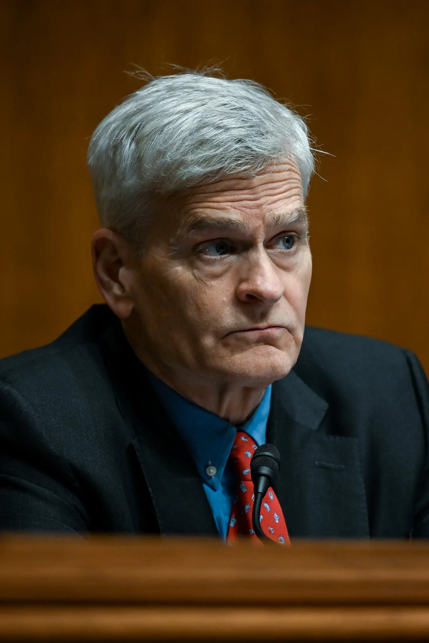 Senator Bill Cassidy has faced accusations that he is not sufficiently supportive of President Trump.