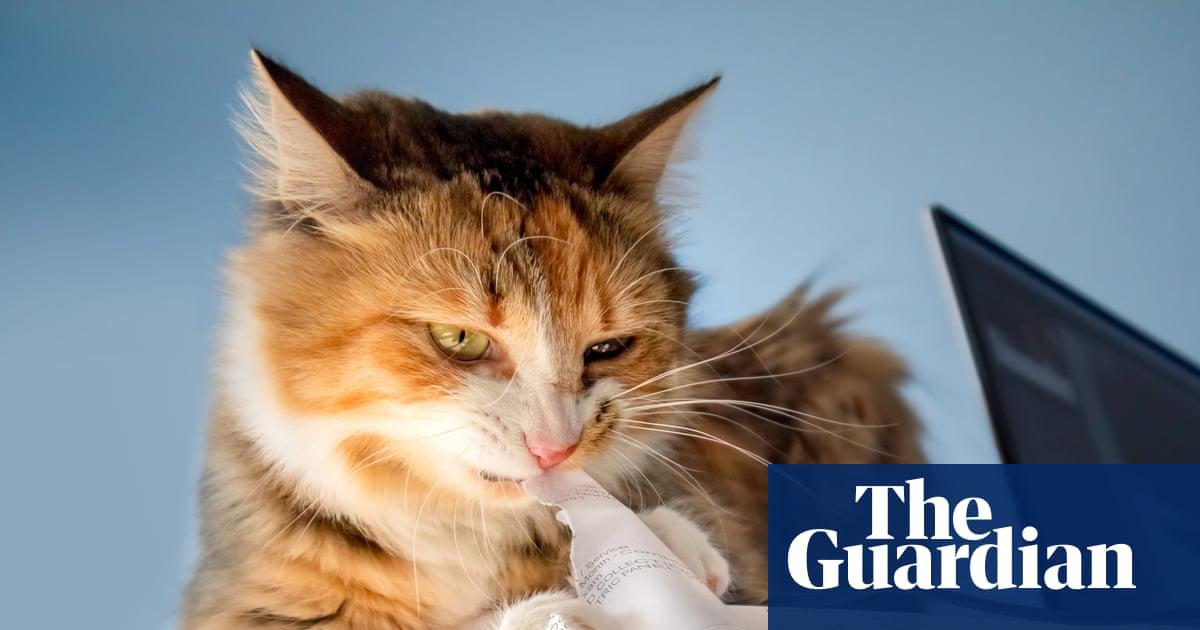 Shredding, you say? Let me help you out with that.