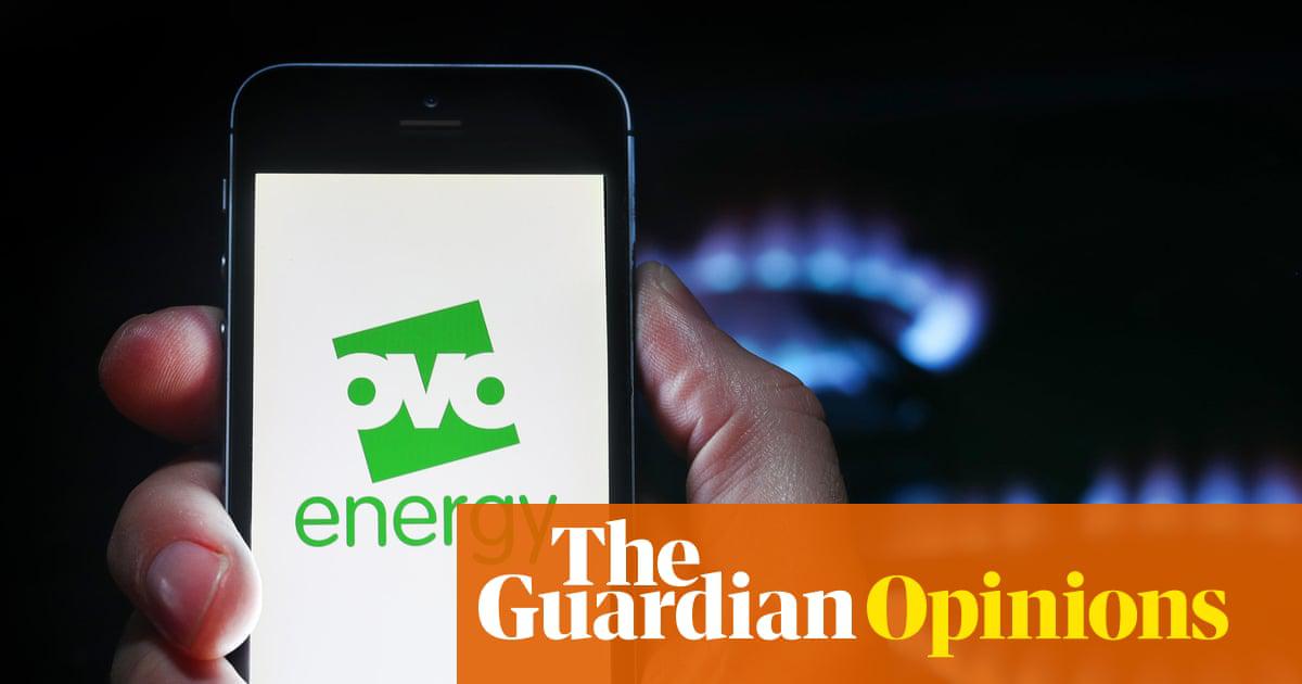 Ofgem doesn’t name the under-capital target firms but large suppliers Octopus and <a href="https://www.theguardian.com/business/2025/sep/30/future-of-ovo-energy-in-doubt-after-failing-financial-stress-tests">Ovo</a> volunteered such a status last year.