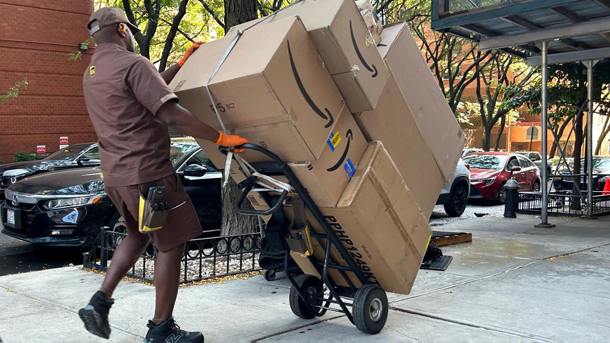 Picture of the author