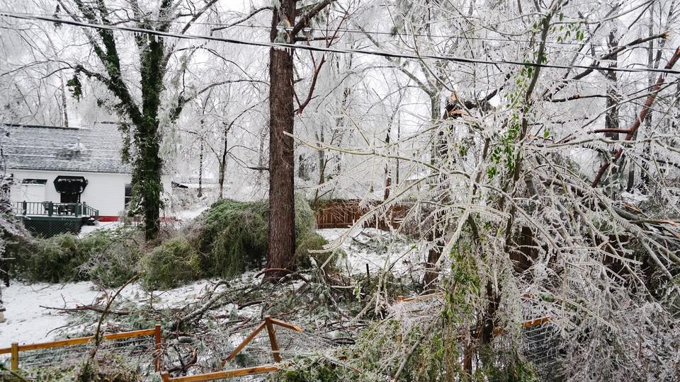 Picture of the author