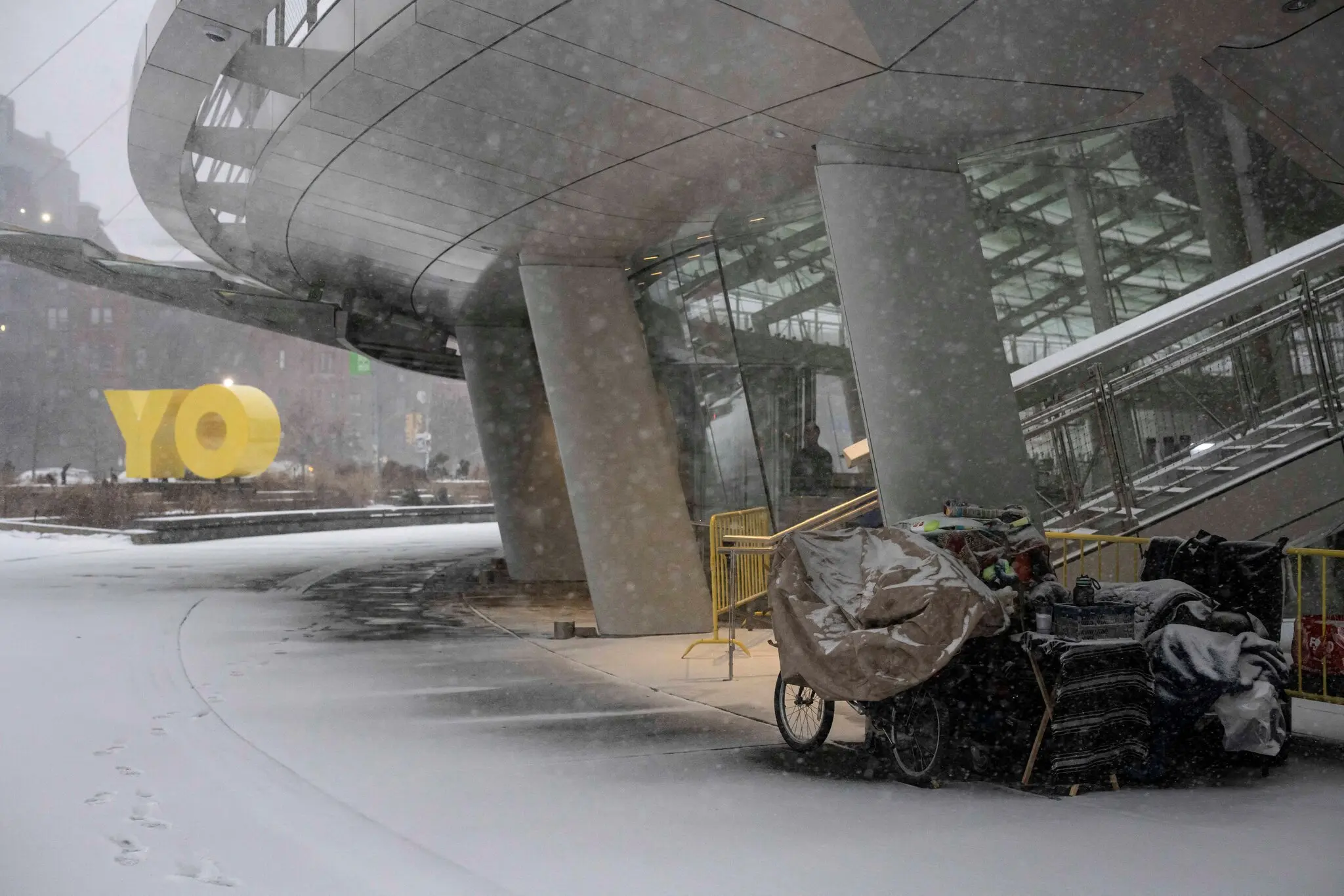 Picture of the author