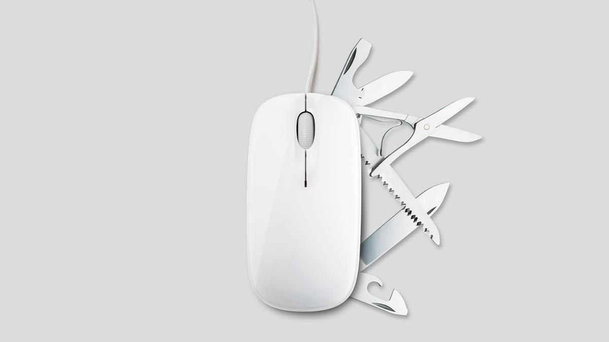 Picture of the author