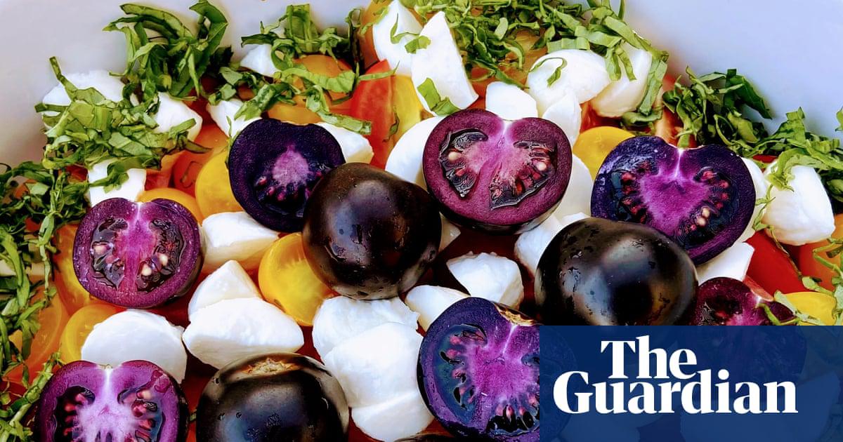 The Purple Bliss tomato has been modified to produce pigments called anthocyanins, which are found in blueberries and blackberries.
