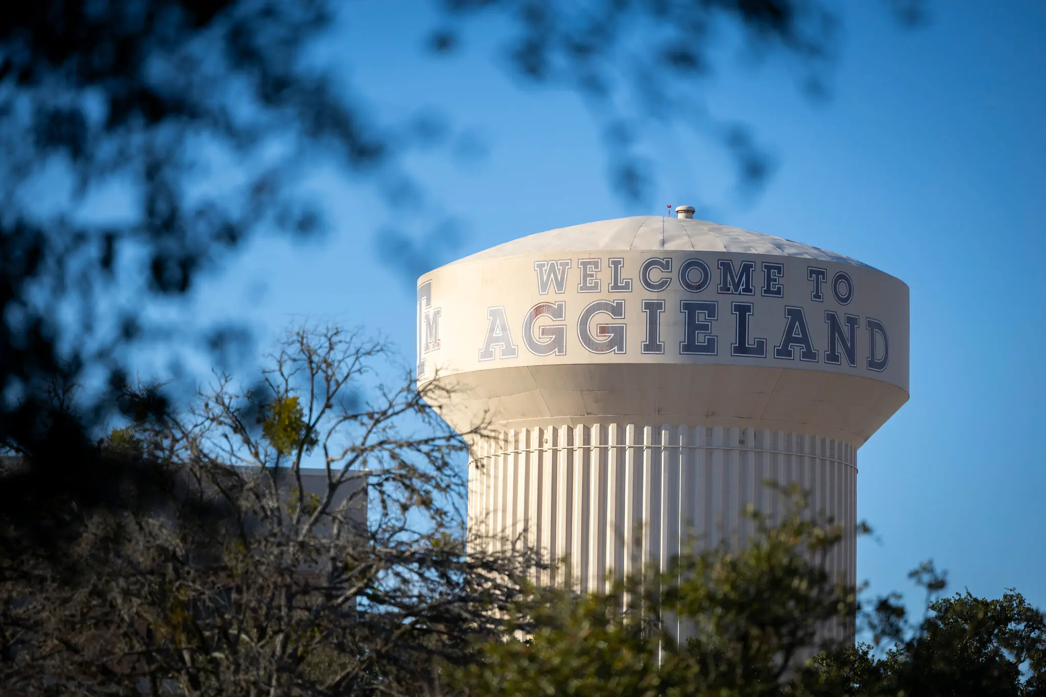 The Texas A&M campus in College Station, Texas.