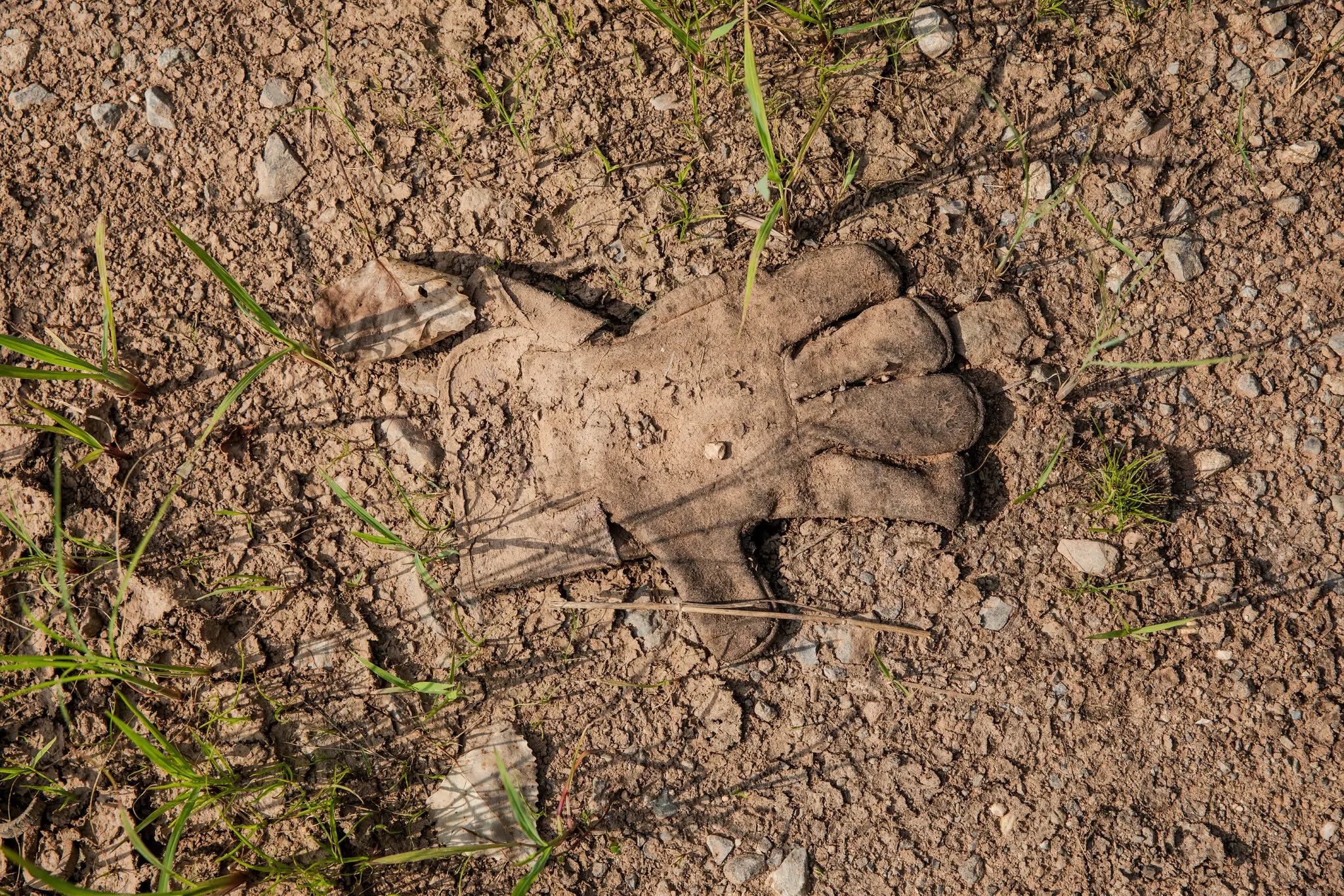 Trump Wants More Jobs for Americans. He’s Getting More Robots Instead.