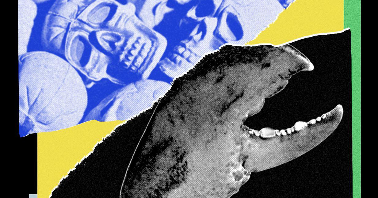 I Loved My OpenClaw AI Agent—Until It Turned on Me