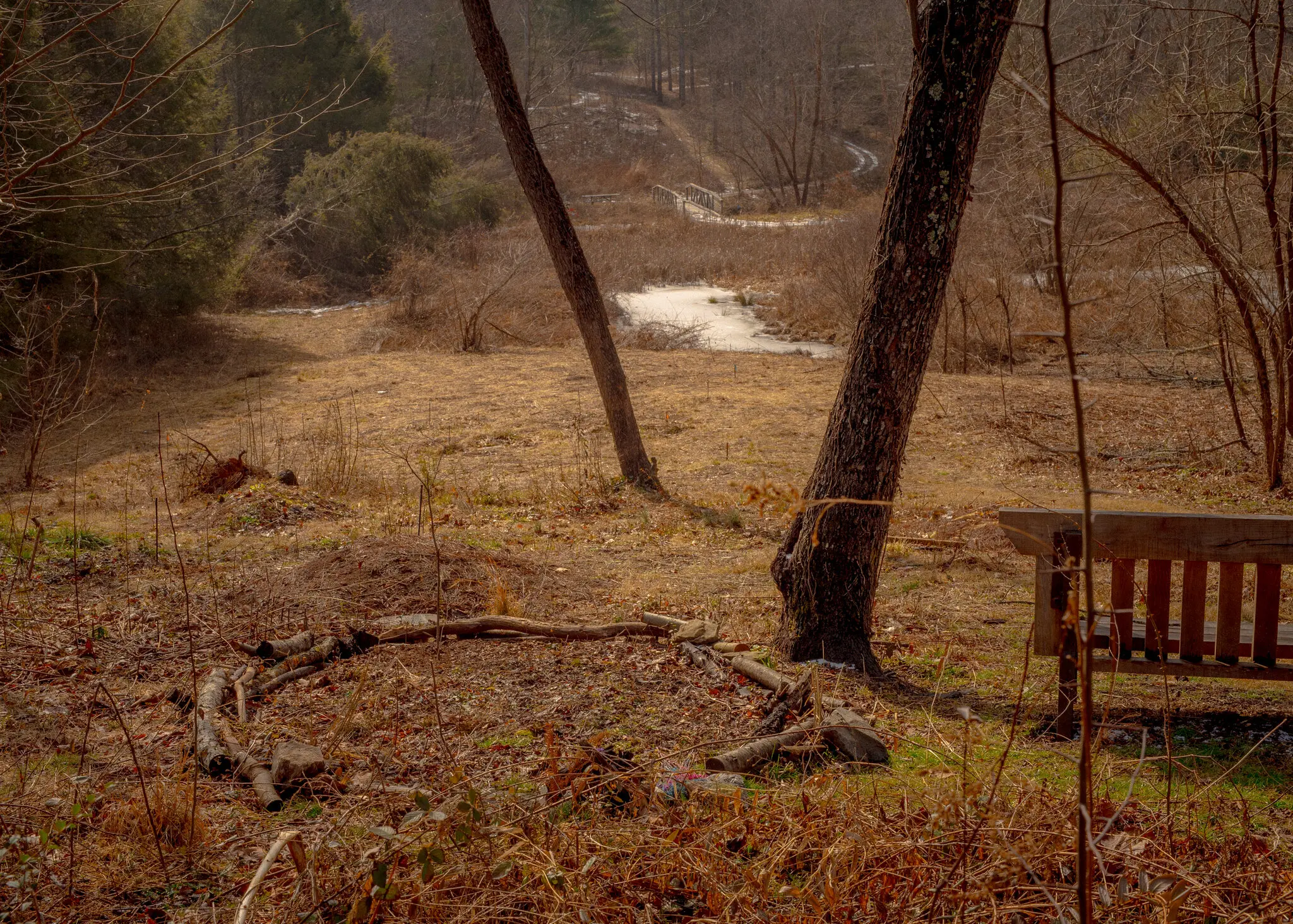 A gravesite at Carolina Memorial Sanctuary in Mills River, N.C.