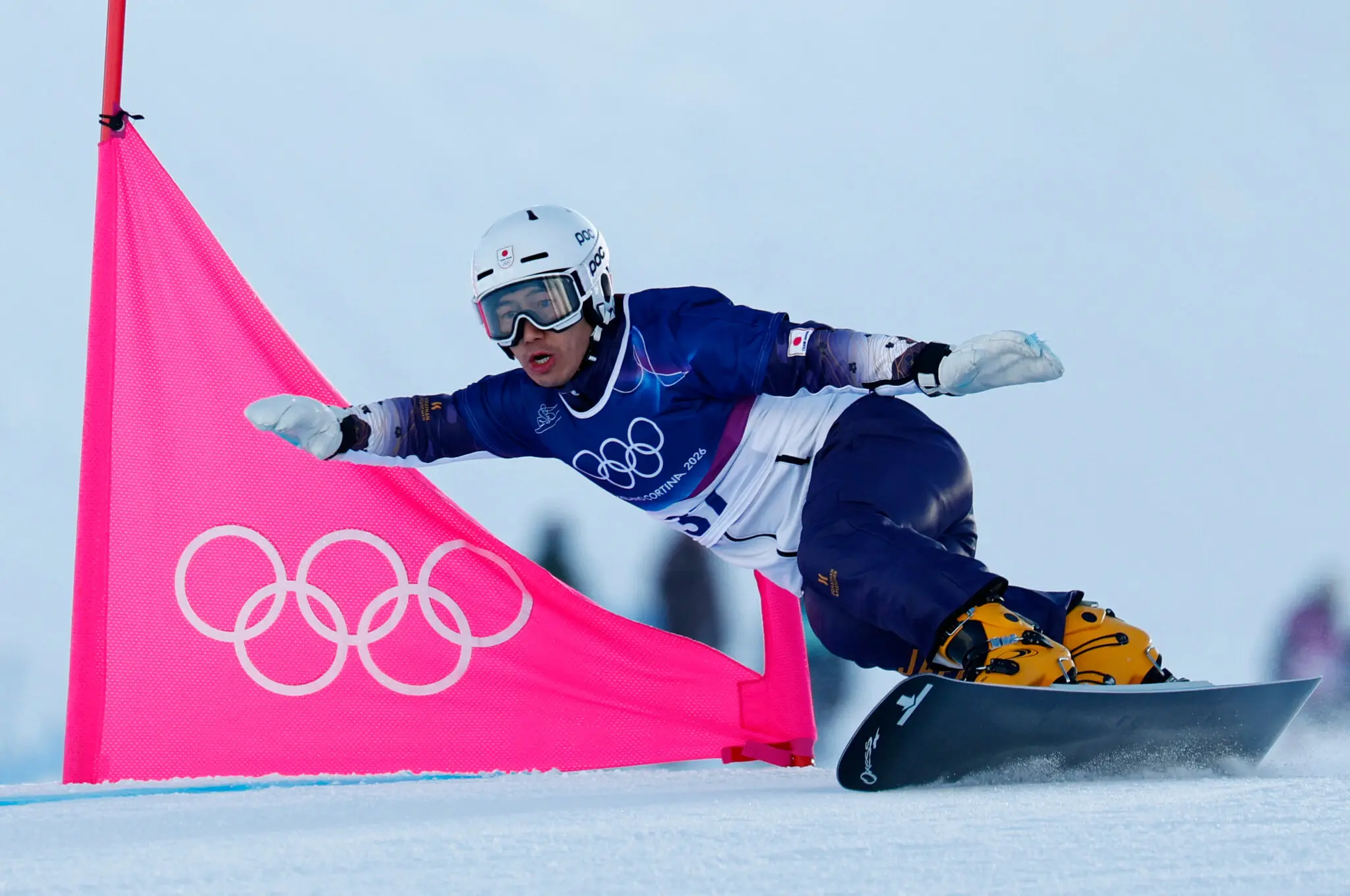 Picture of the author