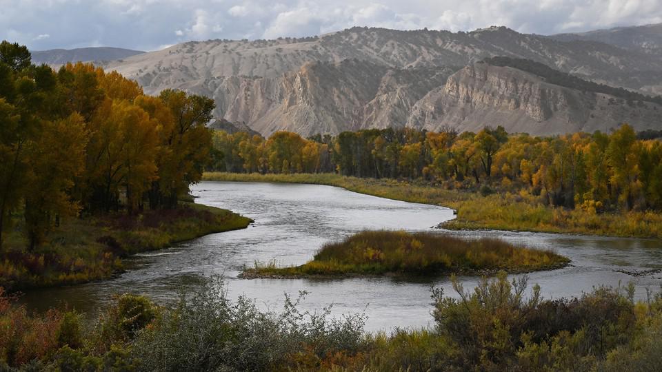 Picture of the author