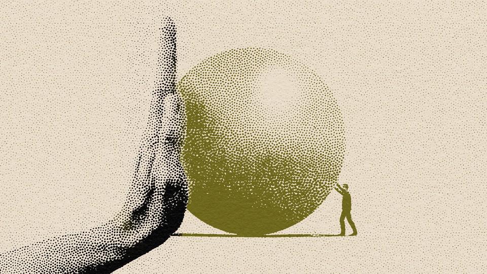 Picture of the author