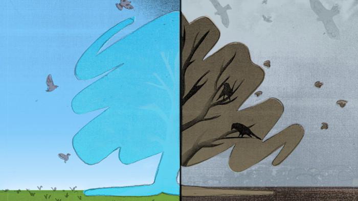 The Conservatives’ foundational sin