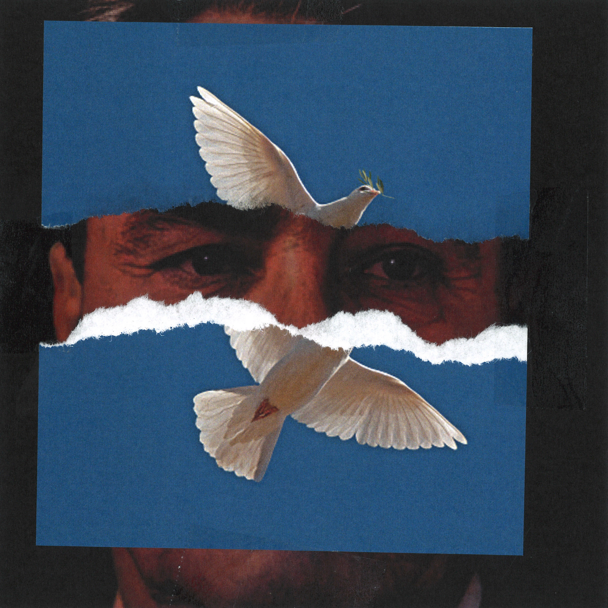 Picture of the author