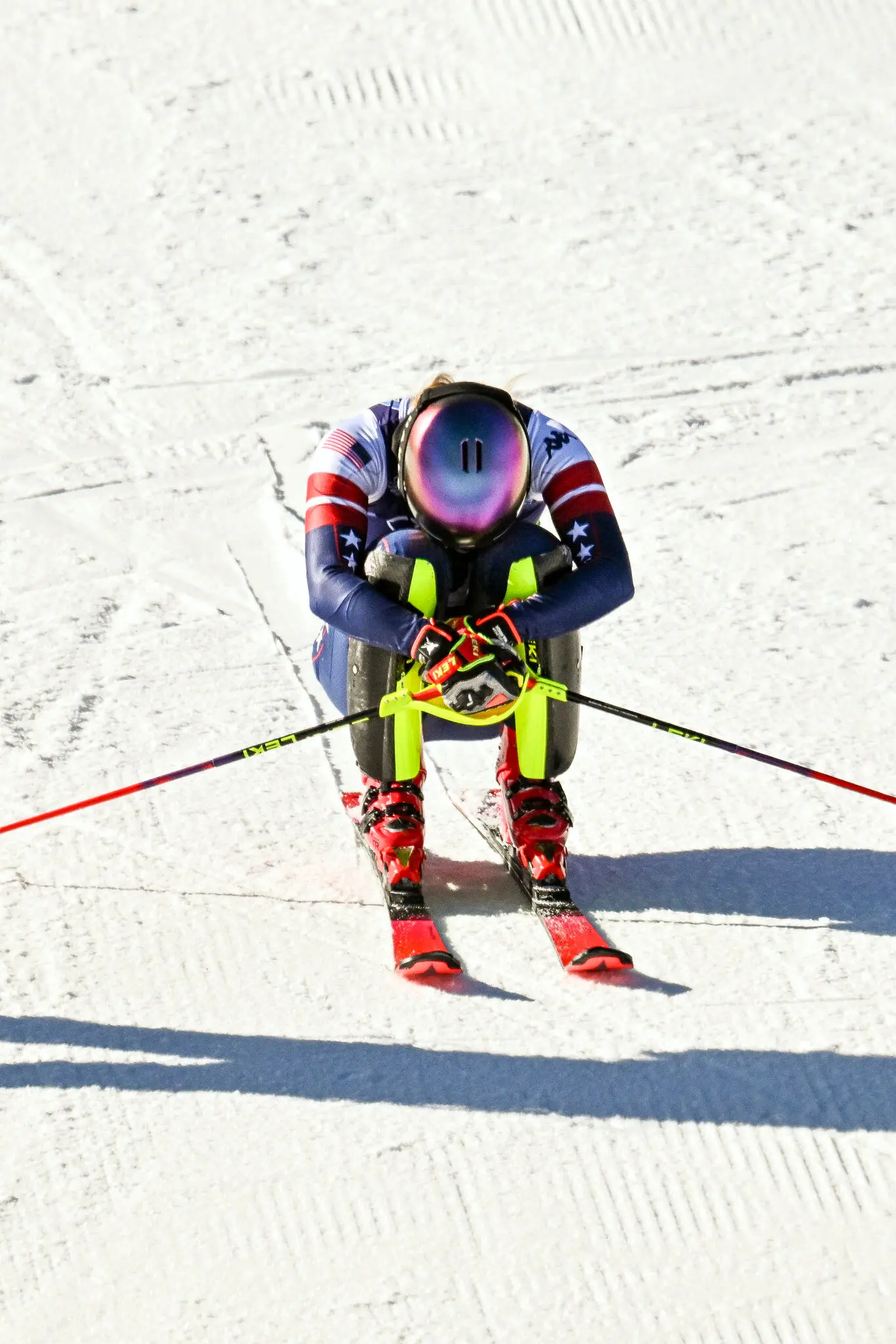 Picture of the author