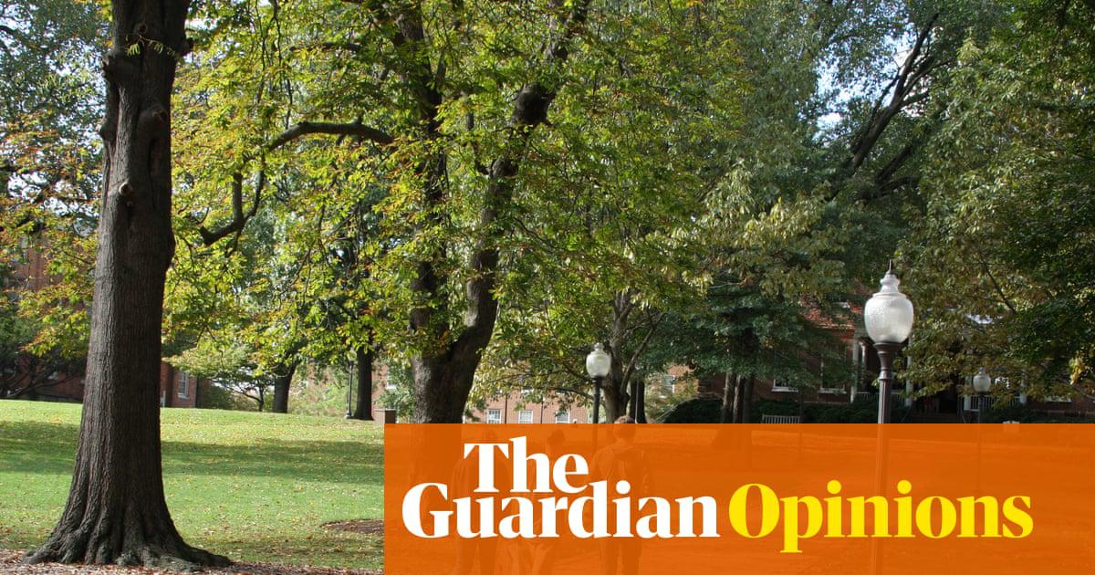 ‘Epstein understood the social capital he would receive in return for providing shortcuts around the constant and myriad indignities of life in academia.’